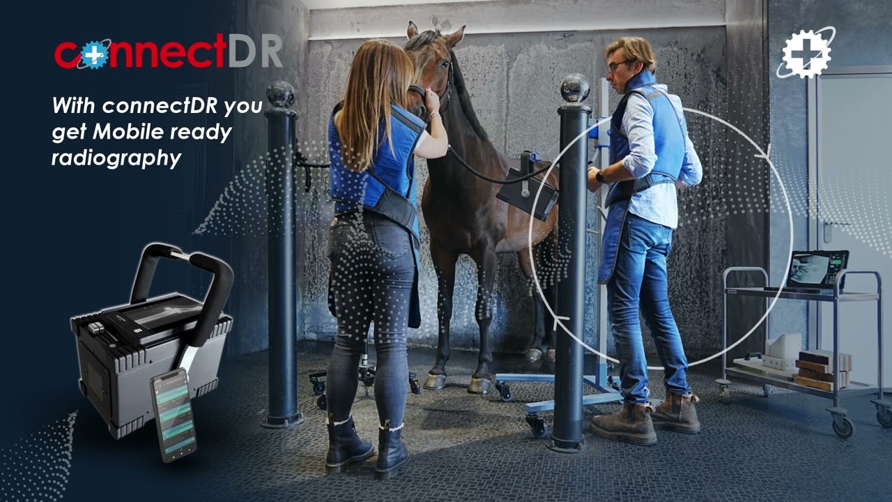 connectDR Veterinary Solutions