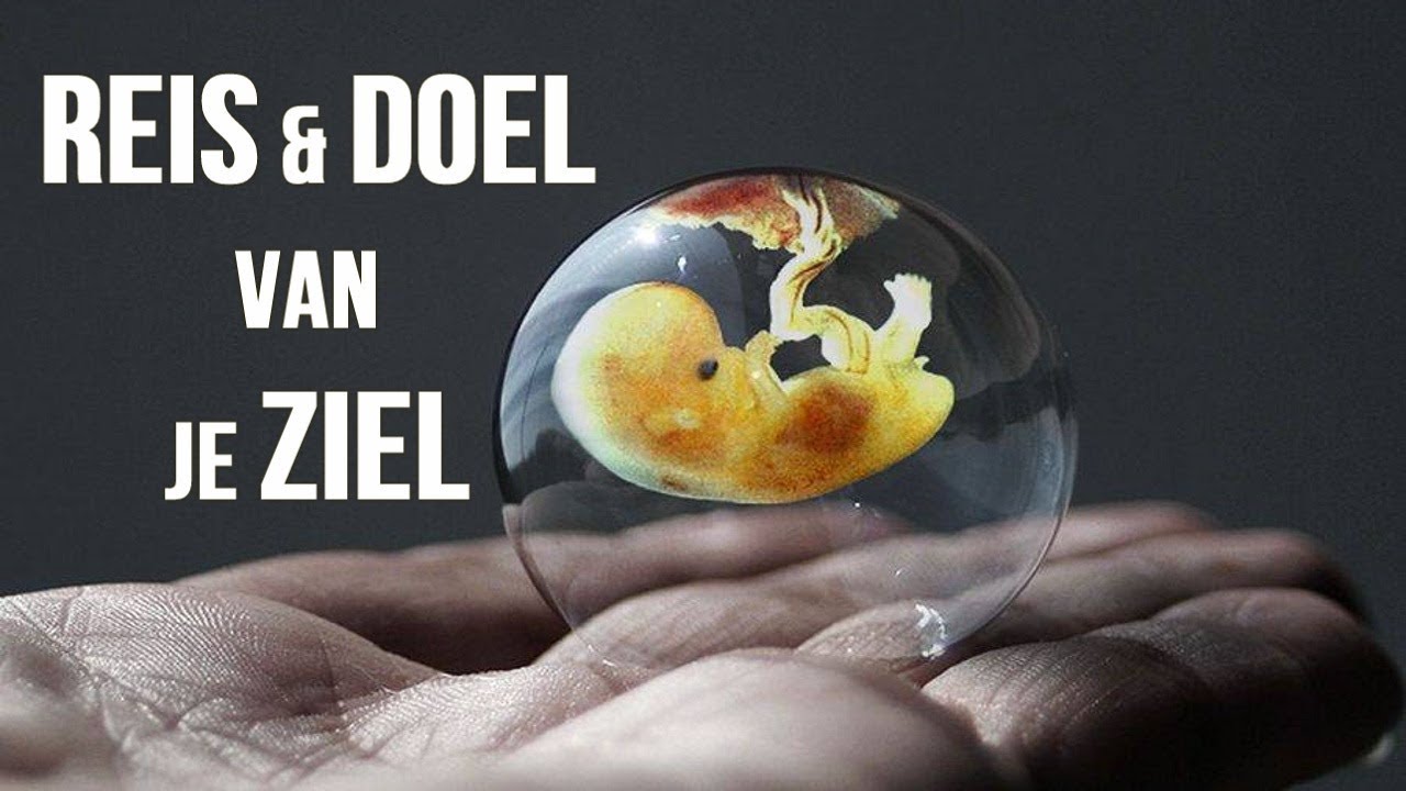 01: De Reis & Het Doel van je Ziel | Het doel van het leven
