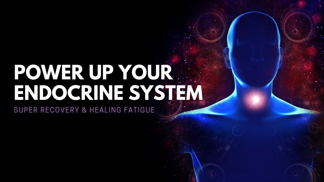 Power Up Your Endocrine System | Super Recovery & Healing Fatigue | Immune System Booster | 528 hz