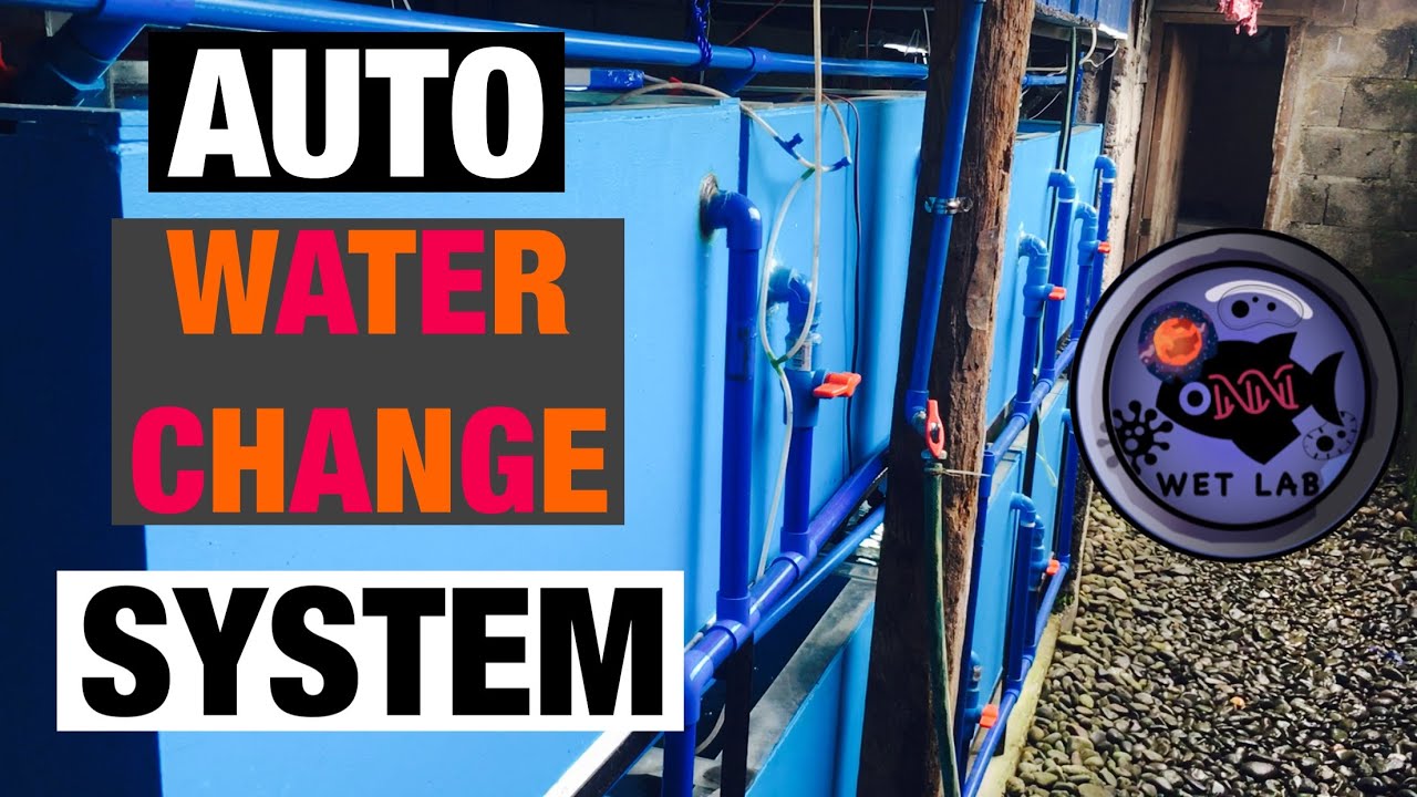 AUTO WATER CHANGE SYSTEM ( SNEAK PEAK)