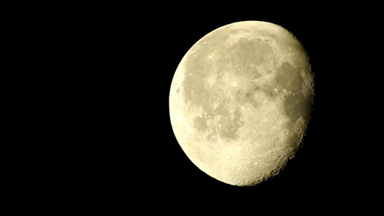 Moon & Frog Calls - Wagon Wheel Road, Big Cypress NP, FL