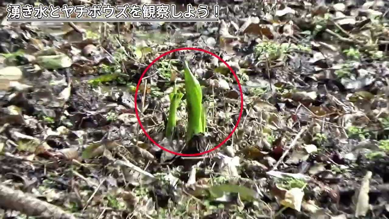 市民講座「釧路湿原を知る！楽しむ！」 251025（短編）