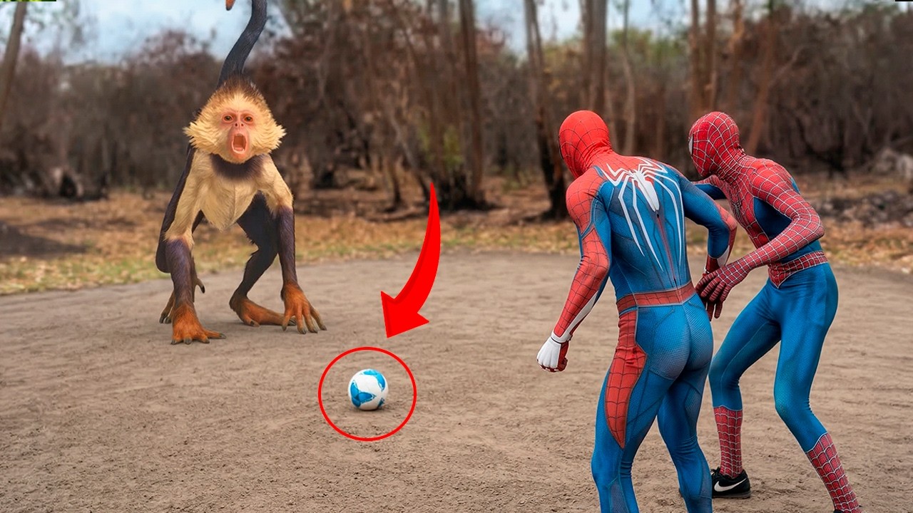 HOMEM ARANHA E O TUNG SAHUR MEME - FILME COMPLETO 1 HORA 2025!