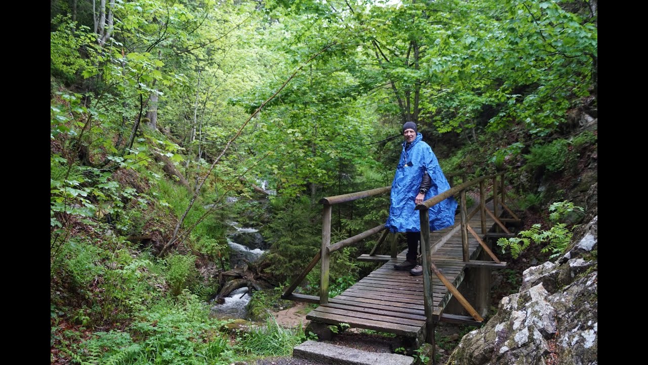 Schwarzwaldurlaub Teil 3. Wandern auf dem Lebküchlerweg.