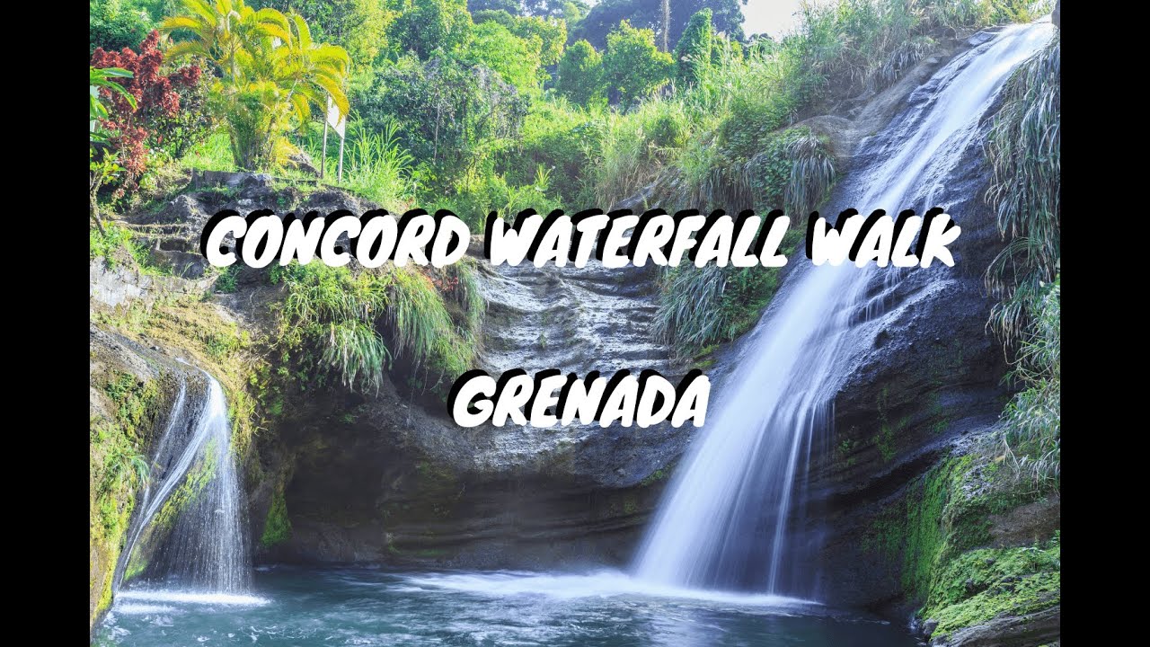 Concord Waterfall Walk in Grenada
