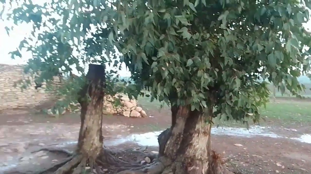 أحسن جو في العربية فش كتكون  شتاء🌨
