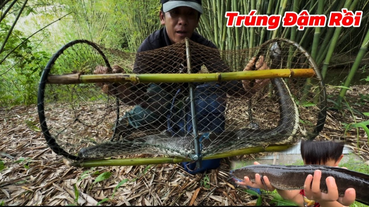 Thăm Lờ Cá Trúng Đậm Rắn Cá Lóc Khủng / Định Nguyễn Hậu Giang