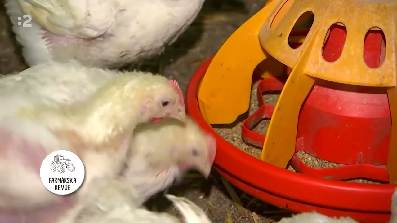 Farmárska revue - Chovanie Hydiny, Sušiareň Ovocia