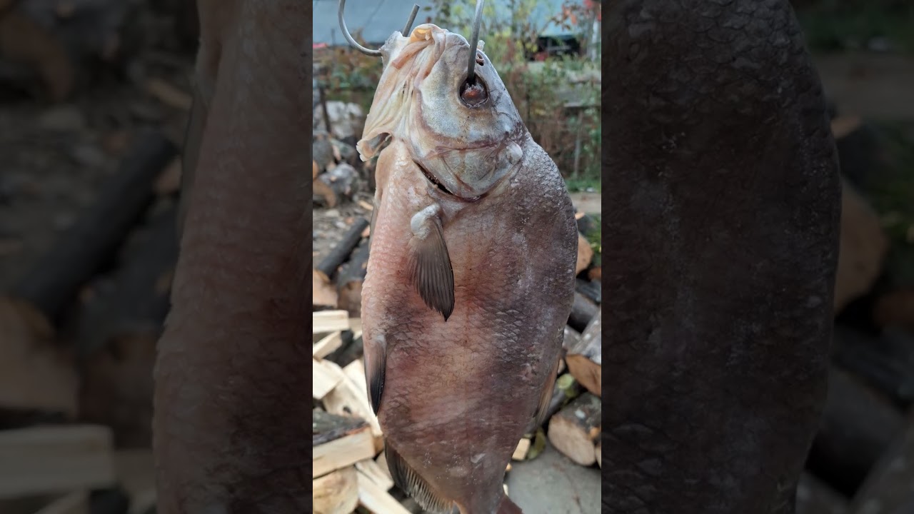 Rețeta peștelui sarat,  preluata de la Lipoveni