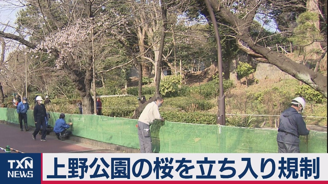 上野公園の桜立ち入り規制（2021年3月6日）
