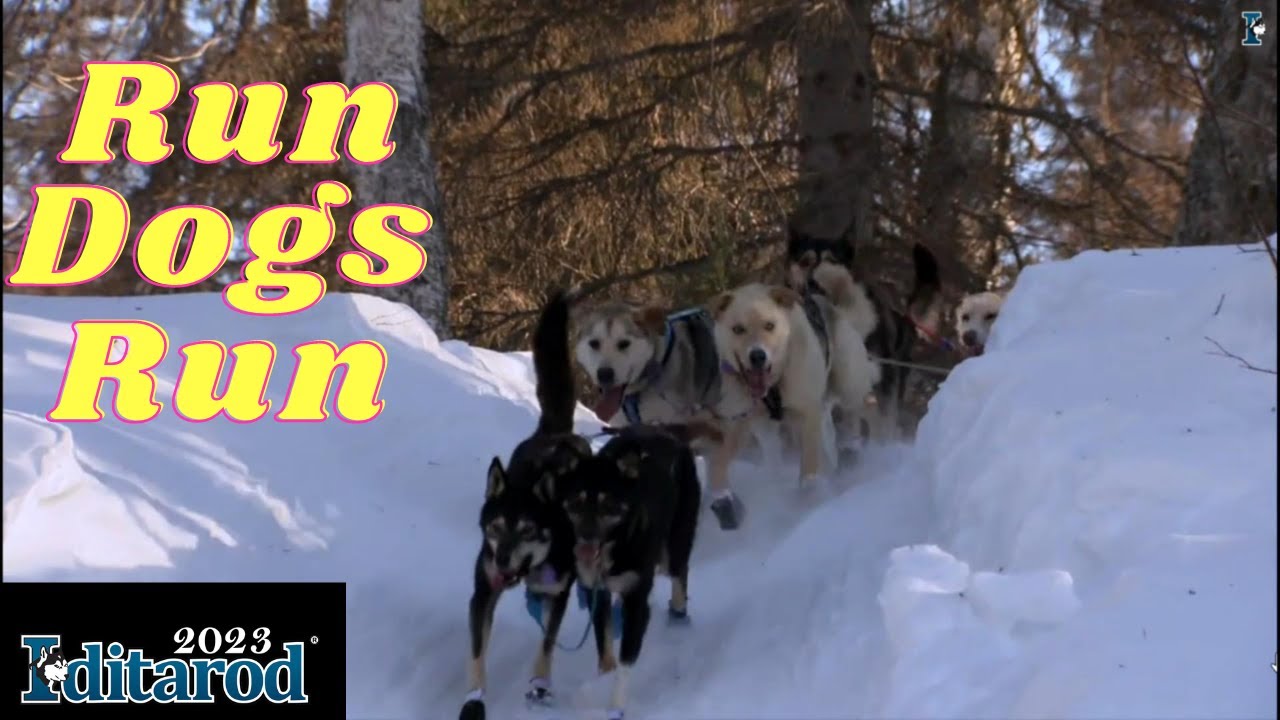 Iditarod 2023 - Run Dogs Run documentary -
