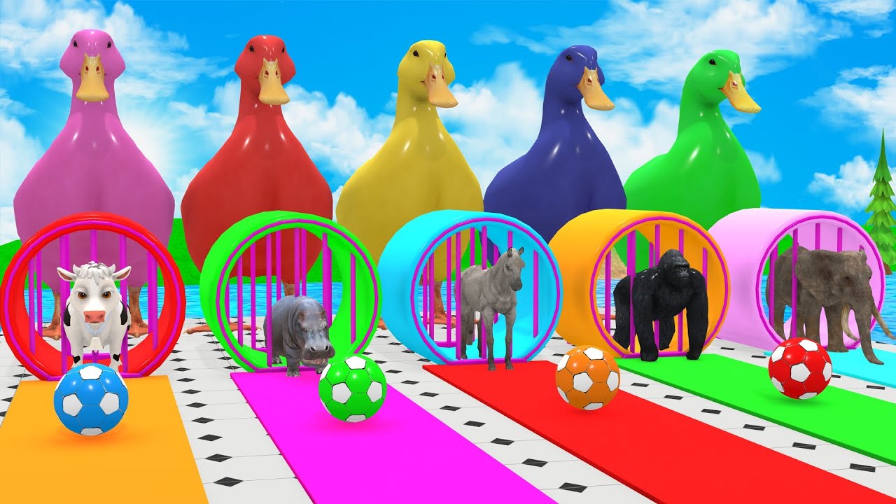 Long Slide Game With Cow Elephant Gorilla Hippopotamus Tiger 3d Animal Game Funny 3d Animals