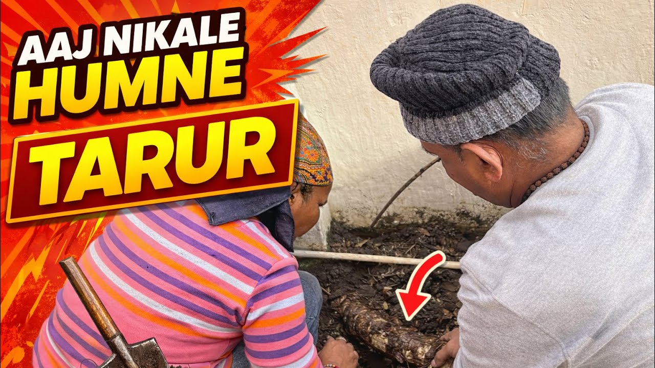 Aaj Nikale Humne Tarur | Kiansh Aur Deepu Ne Ki Car Ki Safai | Neetu Adhikari Vlogs