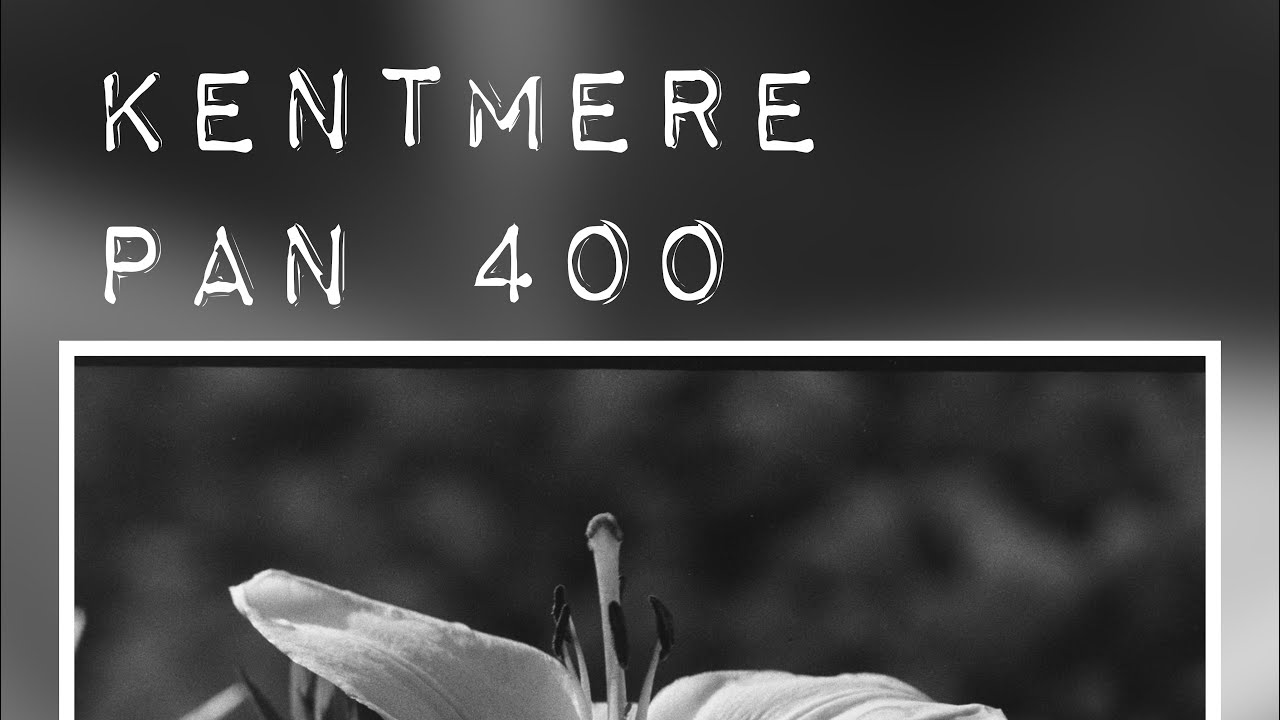 Kentmere Pan 400 pushed to 1600 in Ilford DDx