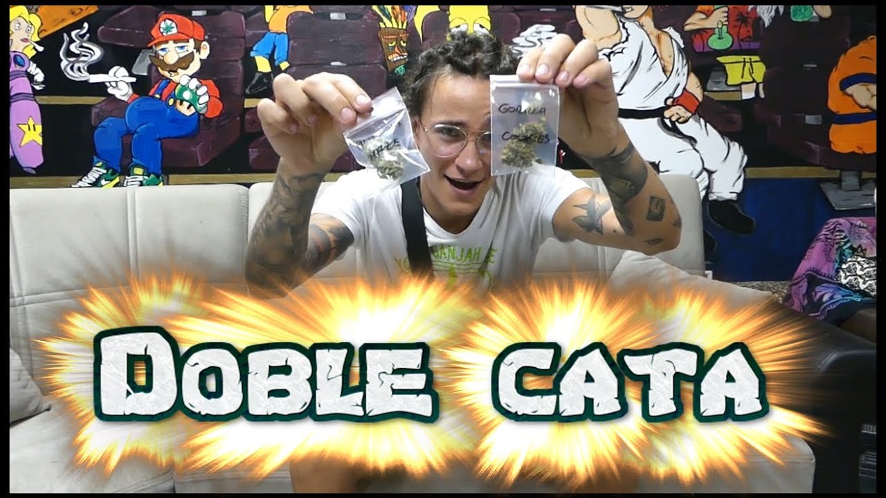UNO DE LOS V&Iacute;DEOS M&Aacute;S ANTIGUOS DE YOIDI GANJAH ZONE | CATA DOBLE EN TENEWEEDFE | CLUB C&Aacute;NNABICO