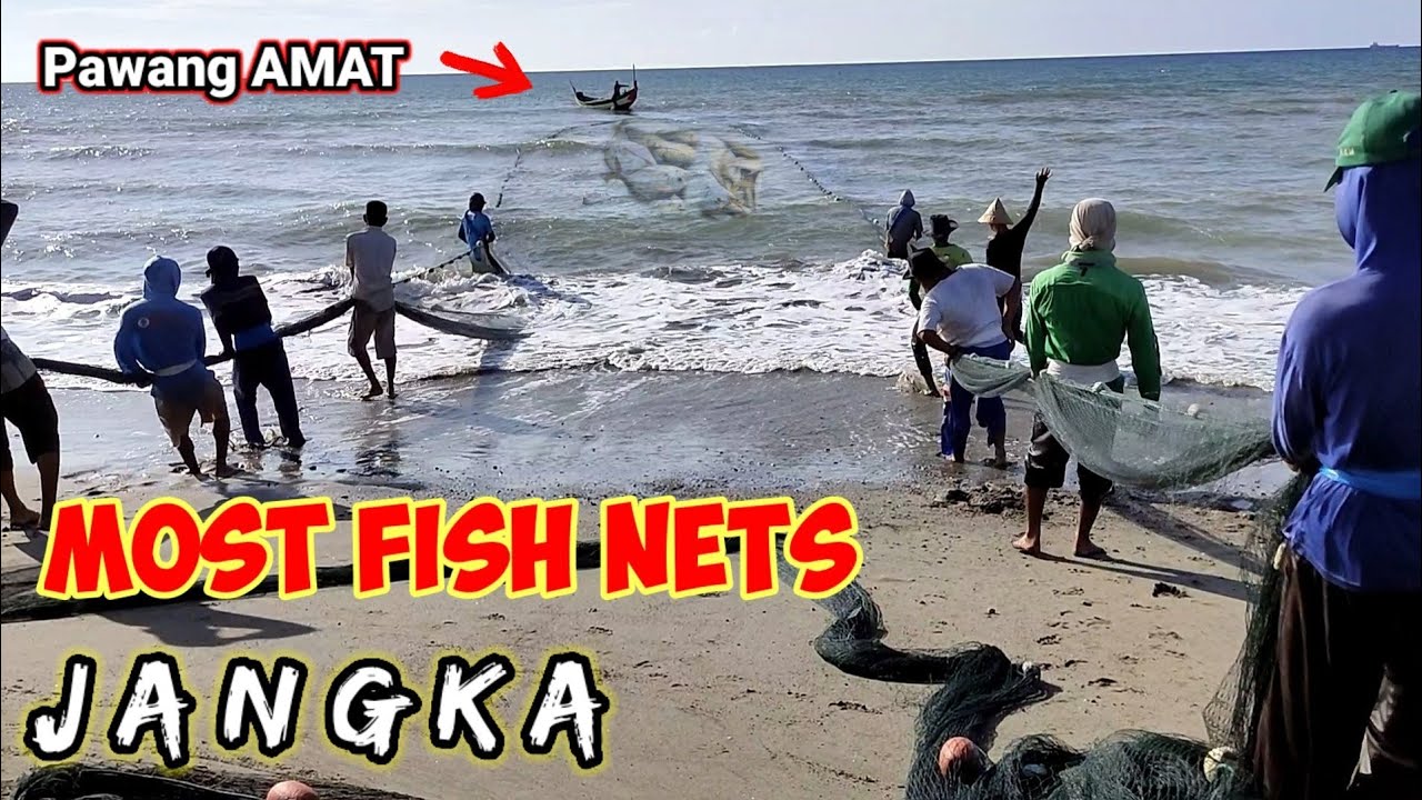 Best Cast Net Fishing Video - Labuh Pukat Dapat Ikan Banyak | Laut Jangka