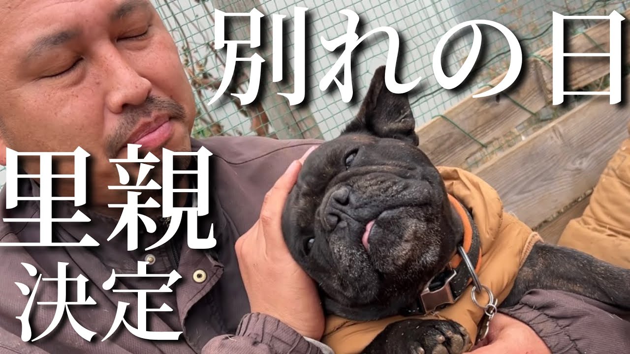 【お別れ】グリードとカートが犬舎を旅立ちます