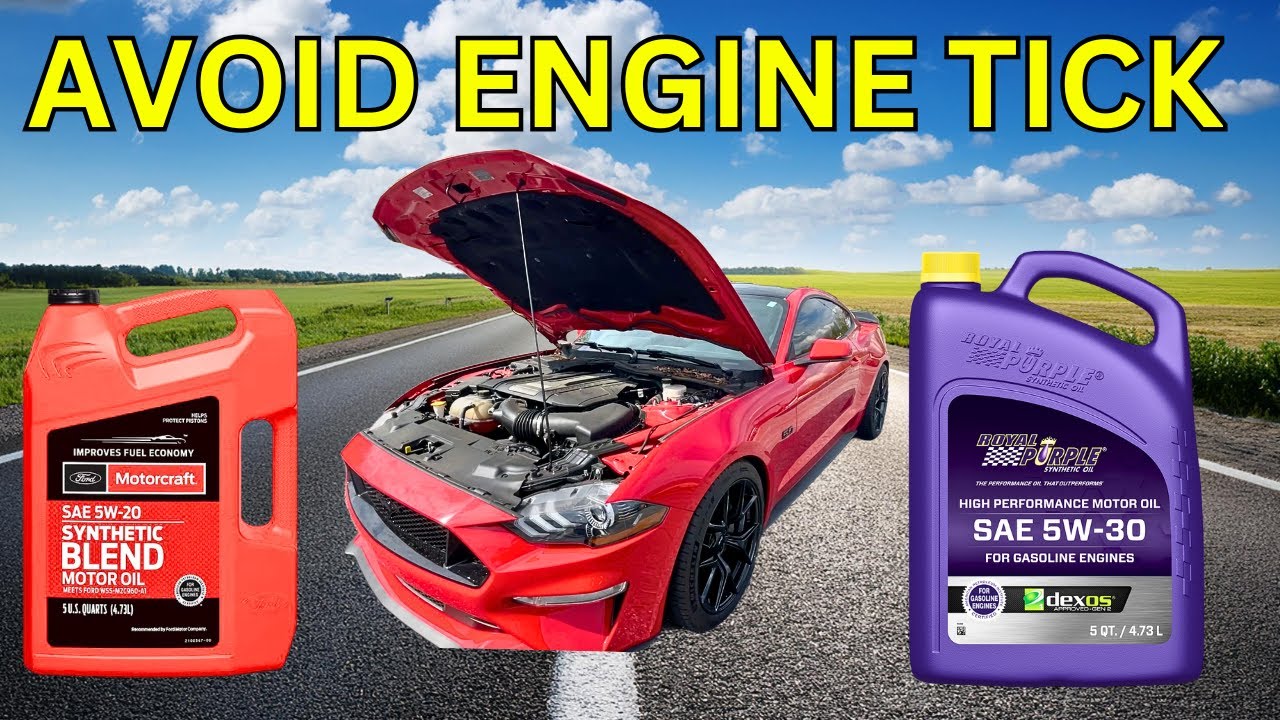 What OIL Should You Be Using For Your Mustang GT?