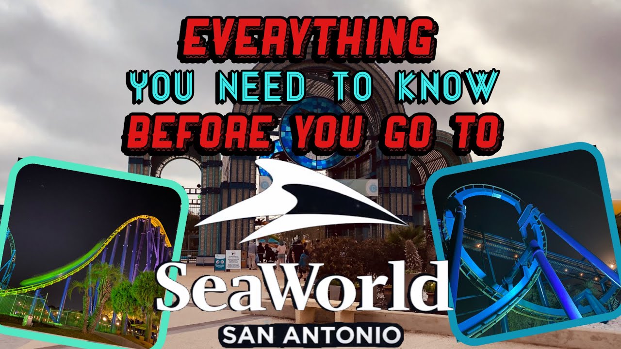 Все, что вам нужно знать перед посещением Seaworld San Antonio
