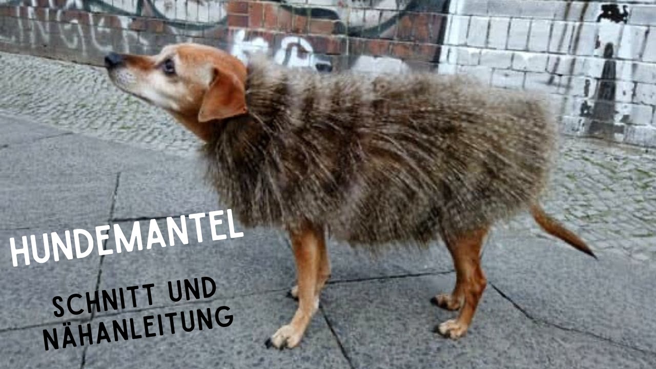 ✂️ Hundemantel Schnittmuster nach Ma&szlig; selber machen plus N&auml;hanleitung DIY