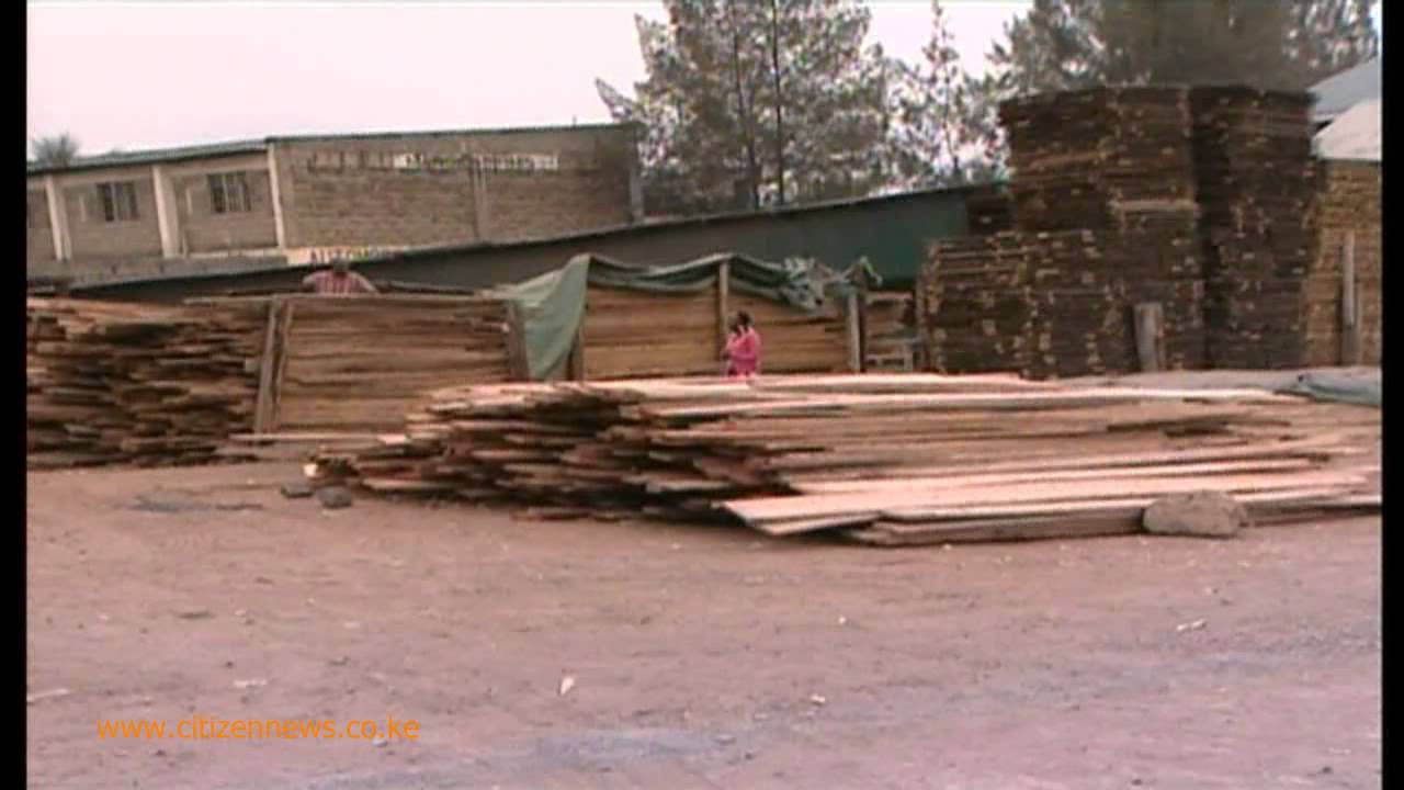 What It Takes: Timber Business