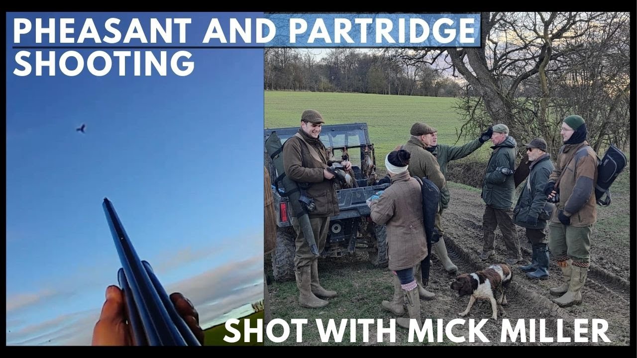 PHEASANT AND PARTRIDGE SHOOTING | High birds in windy conditions