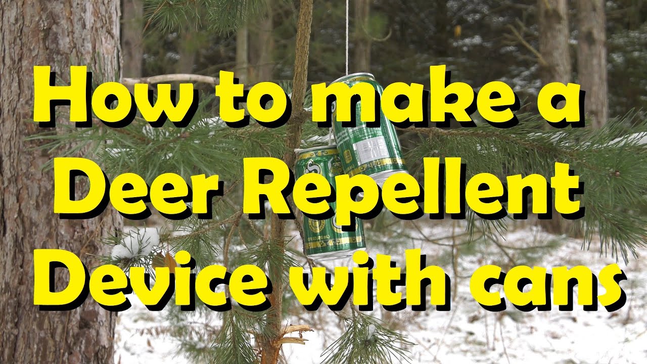 How To Make a Cheap Deer Repellent Device with Cans