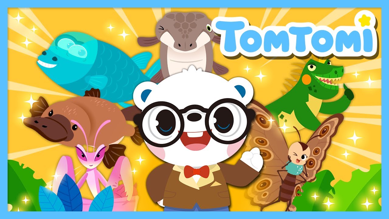 ¿Un animal mezclado entre una cebra y una jirafa?! 🦓🦒 | Canciones Infantiles | TOMTOMI en Español