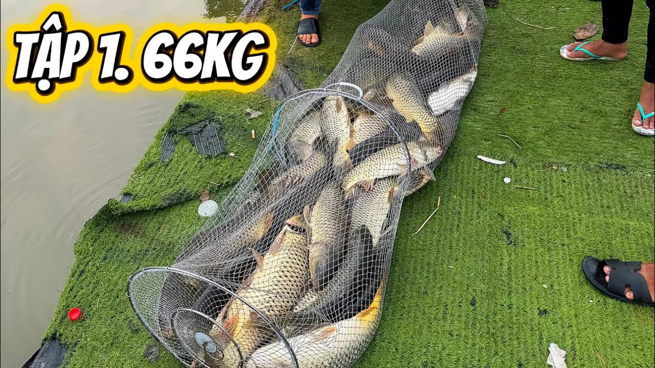 ✅ Câu cá Sài Gòn | Hành trình câu 1000kg cá chép, tập 1 | DUY FISHING