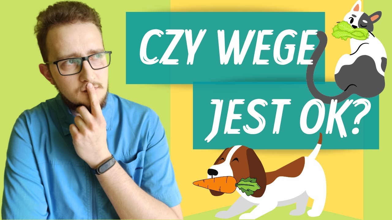 WEGAŃSKIE I WEGETARIAŃSKIE KARMY DLA ZWIERZĄT -   o co tu chodzi? - #23