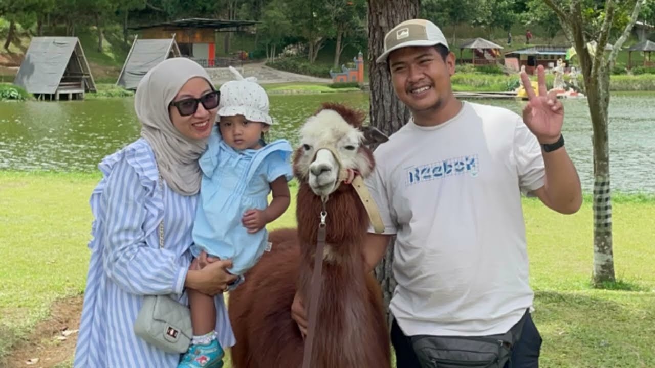 JALAN KE LEMBAH DEWATA LEMBANG KETEMU ALPACA DAN NAIK KUDA,SUASANANYA ADEM SEJUK BIKIN BETAH 