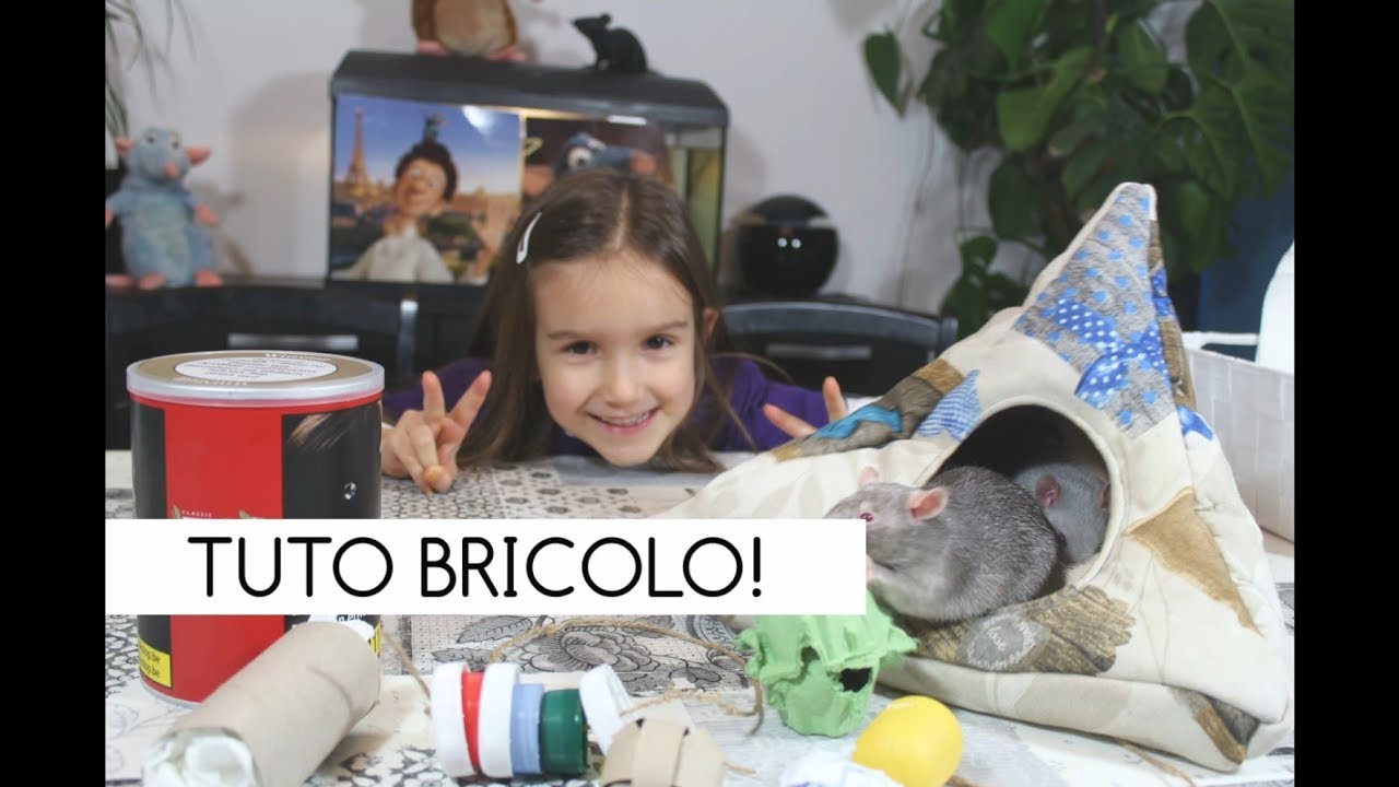 TUTO BRICOLO -  ENRICHISSEMENT DU MILIEU DE VIE DE VOS RATS