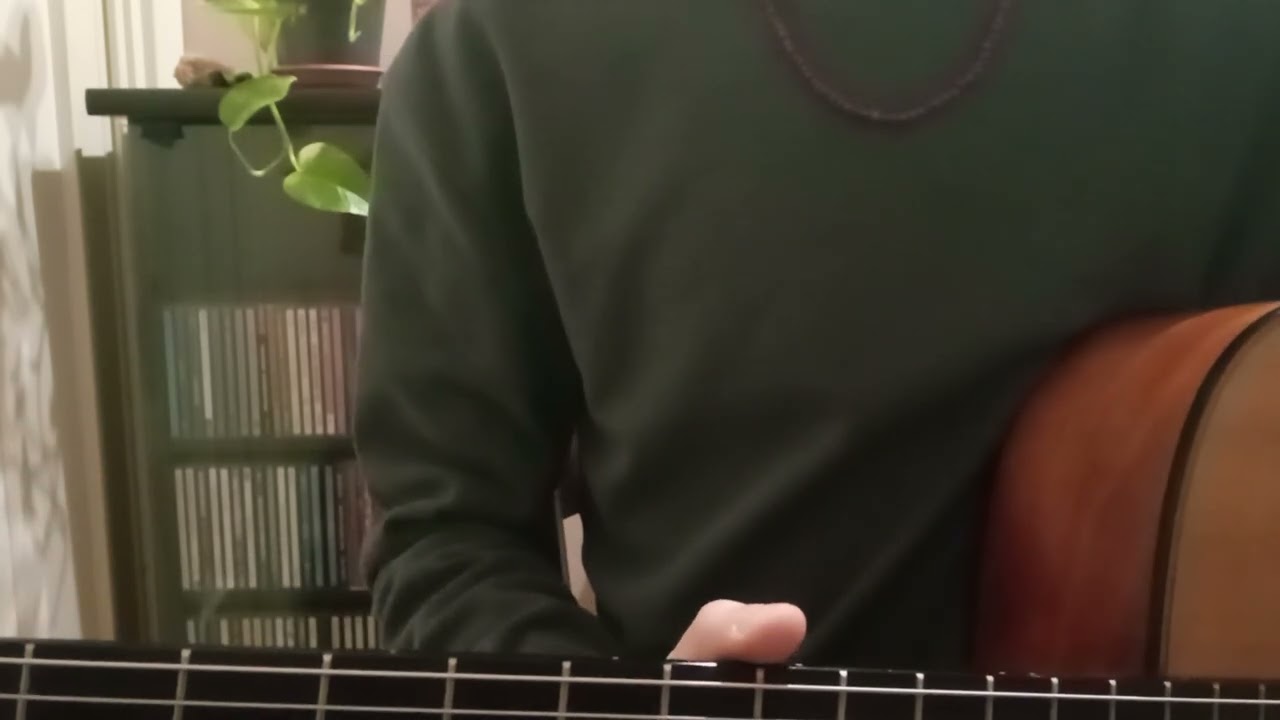 Escluso il cane - Rino Gaetano (cover)