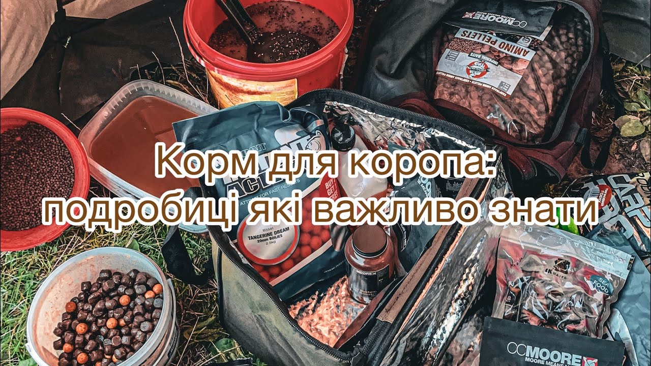 Корм для коропа: подробиці які важливо знати