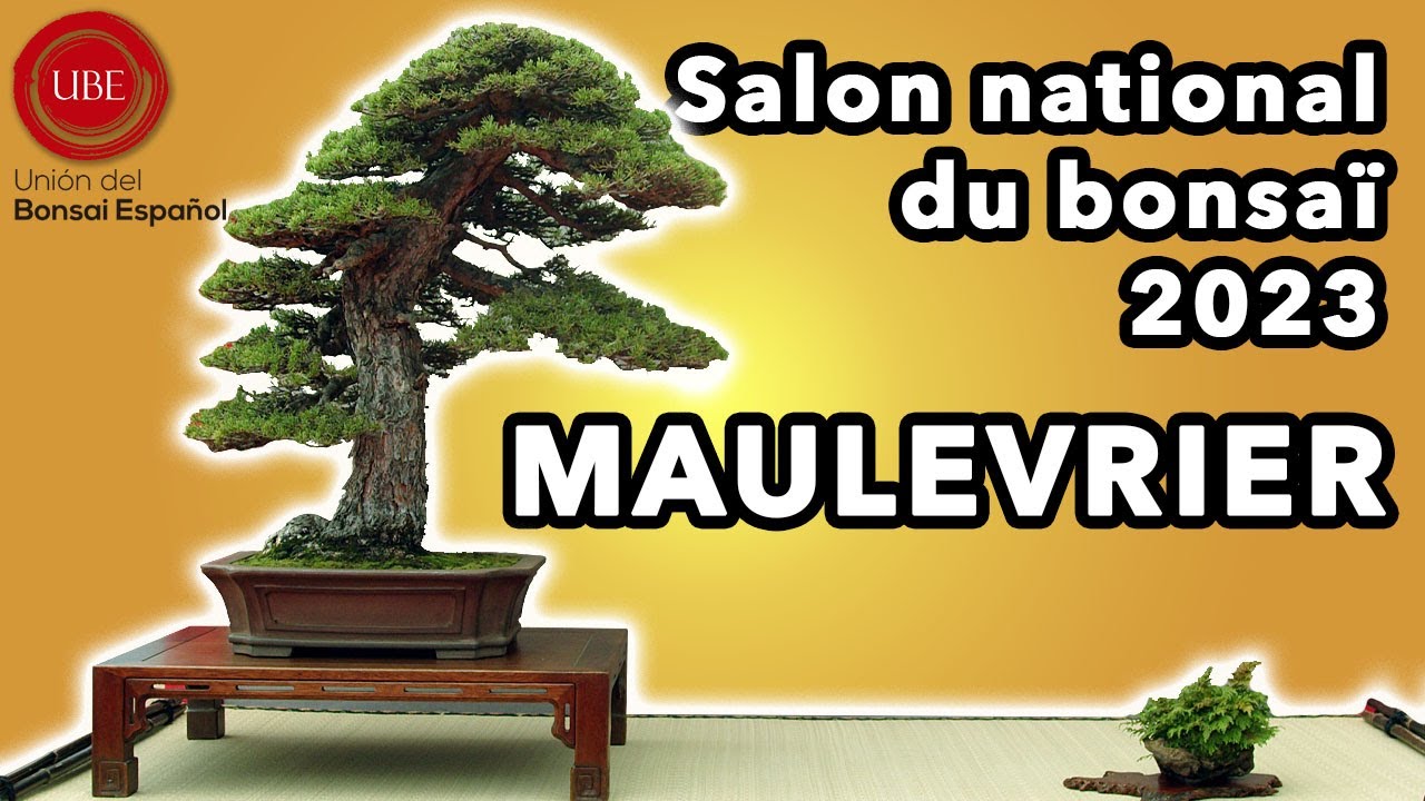 SALON NATION DU BONSAÏ 2023 - Maulévrier