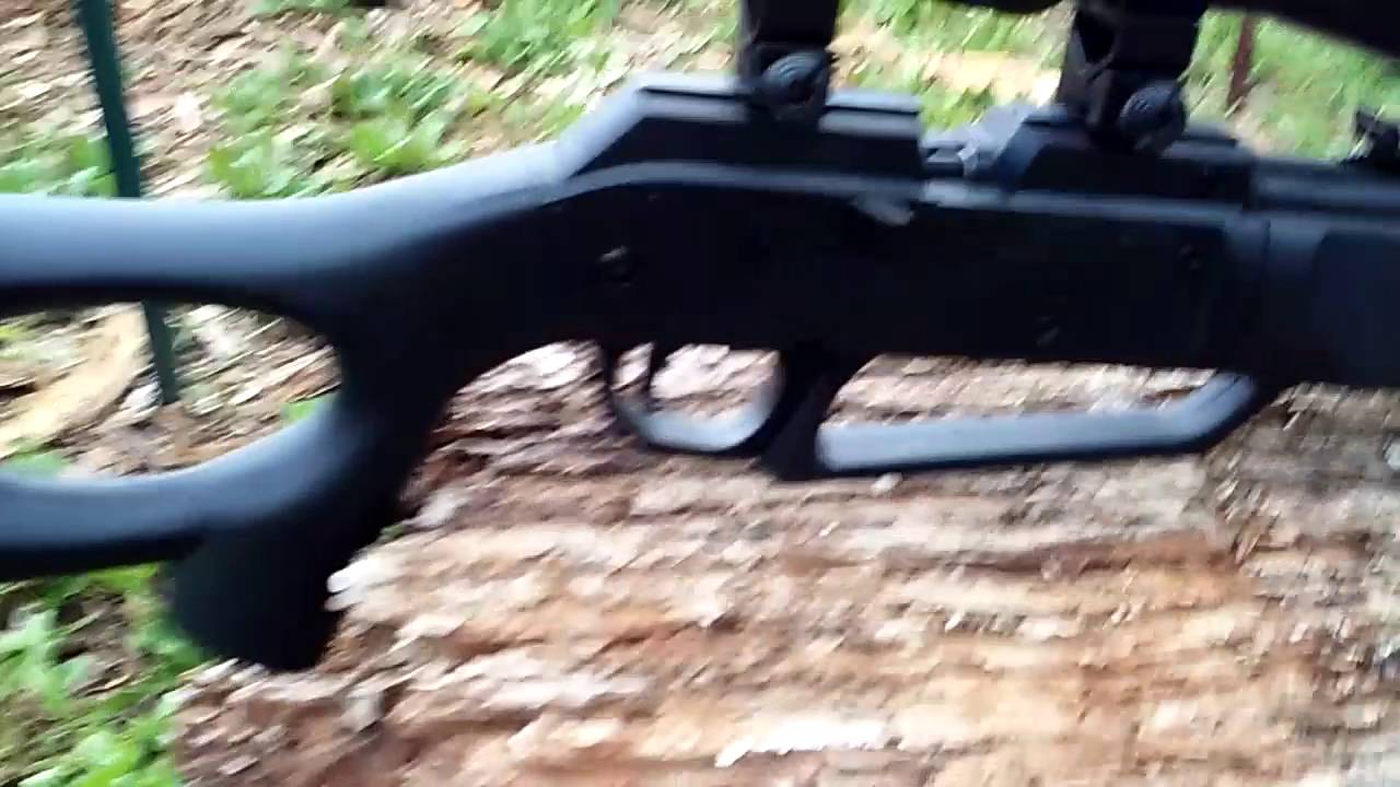 Pellet gun for hunting good backup weapon