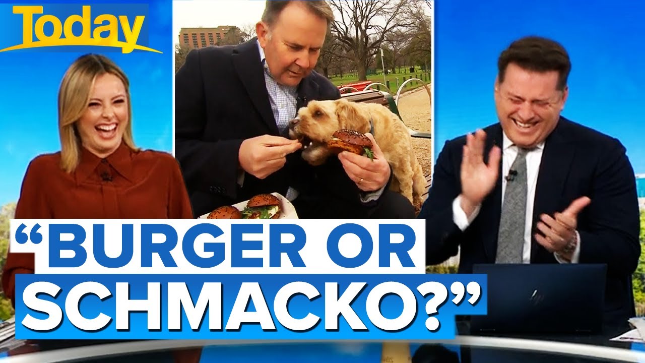 Host surprises reporter’s dog on live TV with a special treat | Today Show Australia
