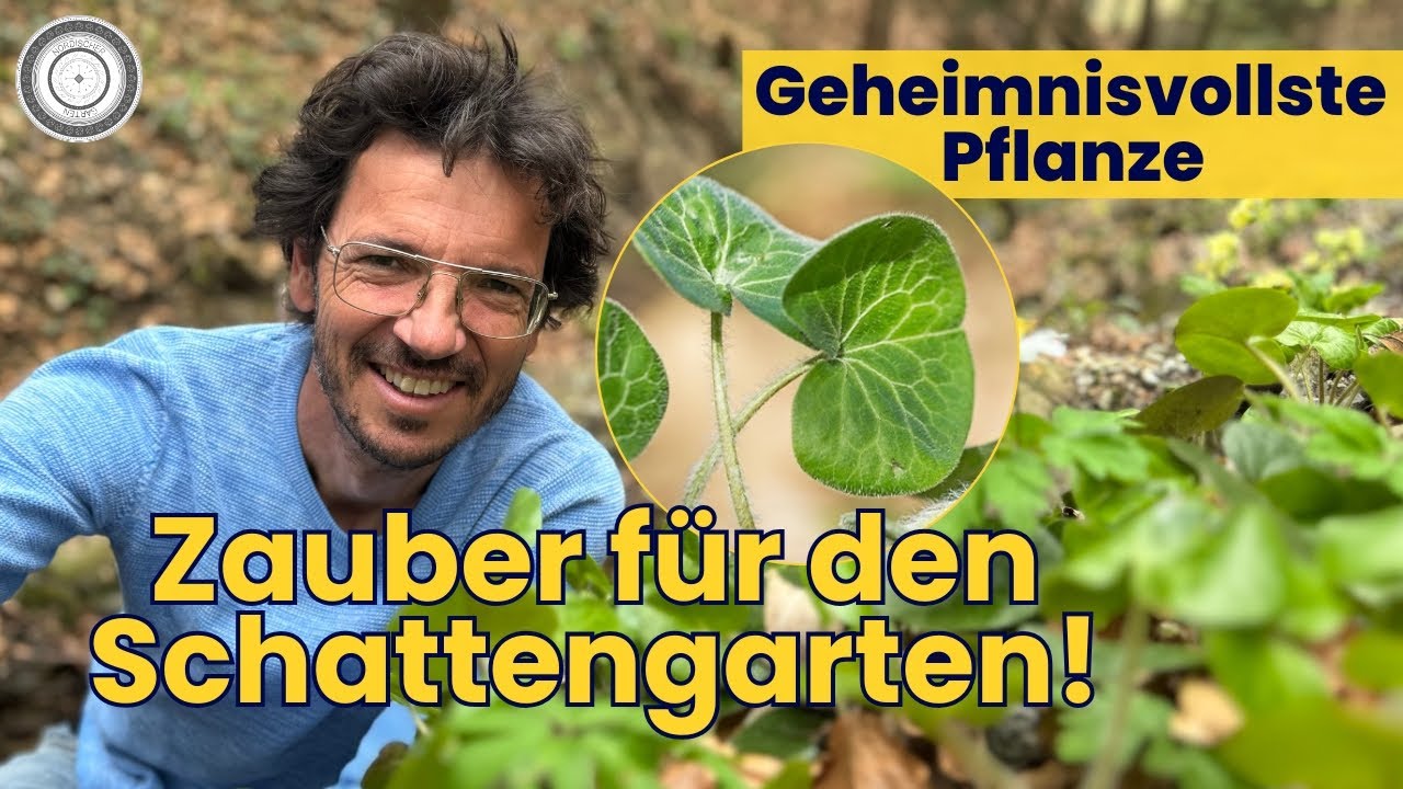 Diese seltene Pflanze musst du kennen! VERRÜCKTESTE BLÜTE ever!