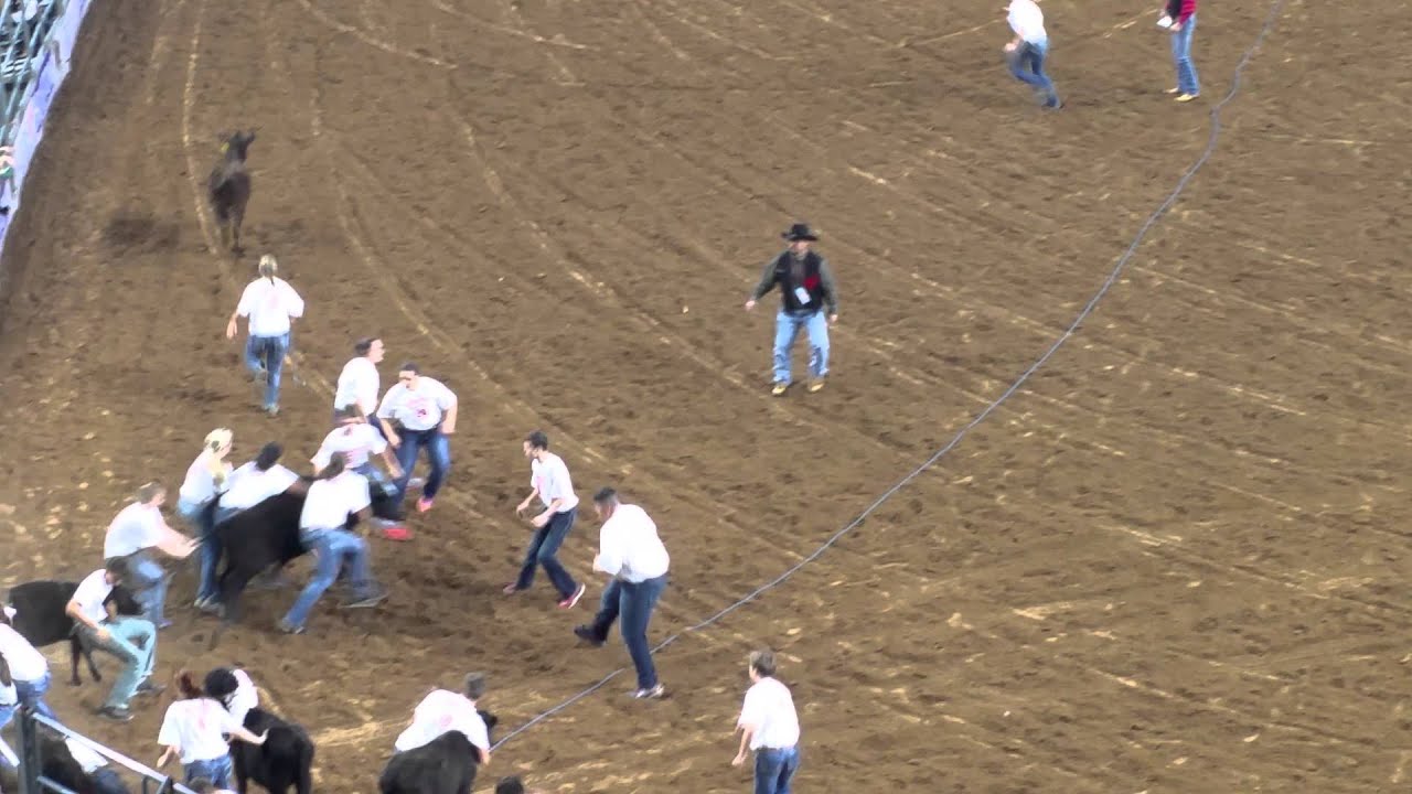 Rodeo Houston 2016 - Calf Scramble