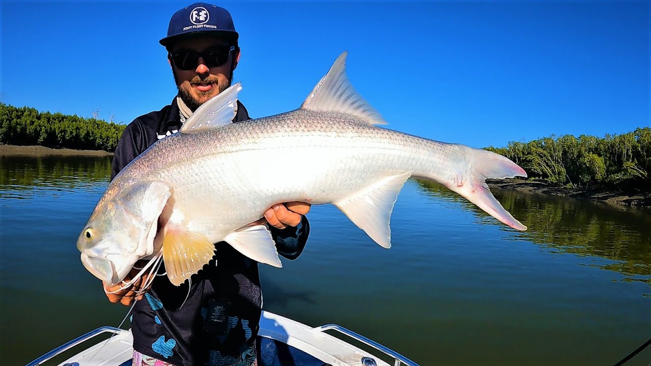 MENTAL River Fishing in North Queensland! Barramundi, Threadfin Salmon & more...