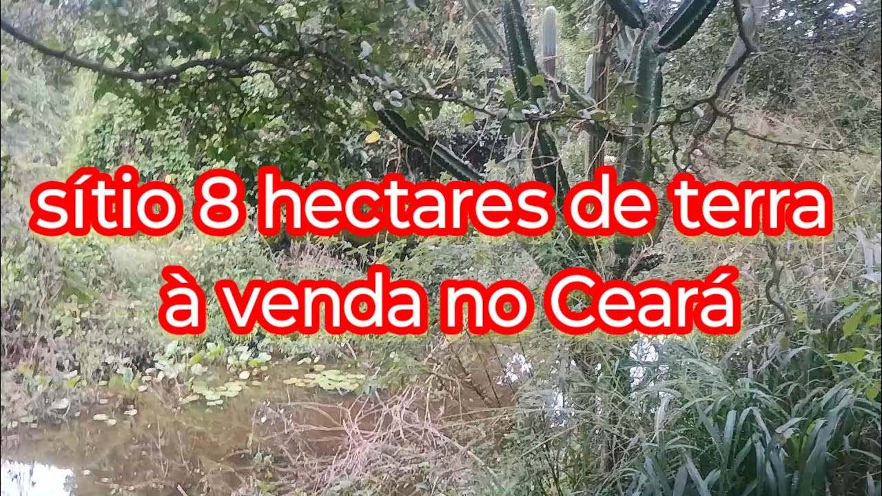 Sítio de 8 hectares à venda no Ceará