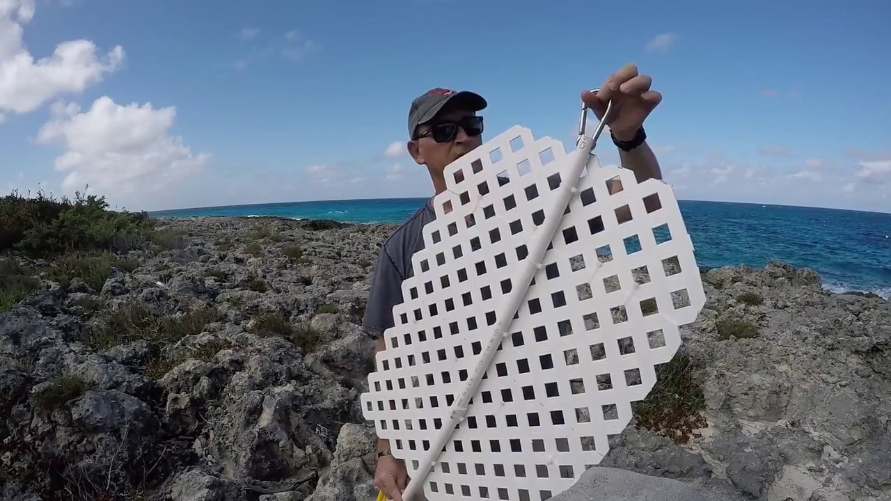 Building Lionfish Purse Trap V6