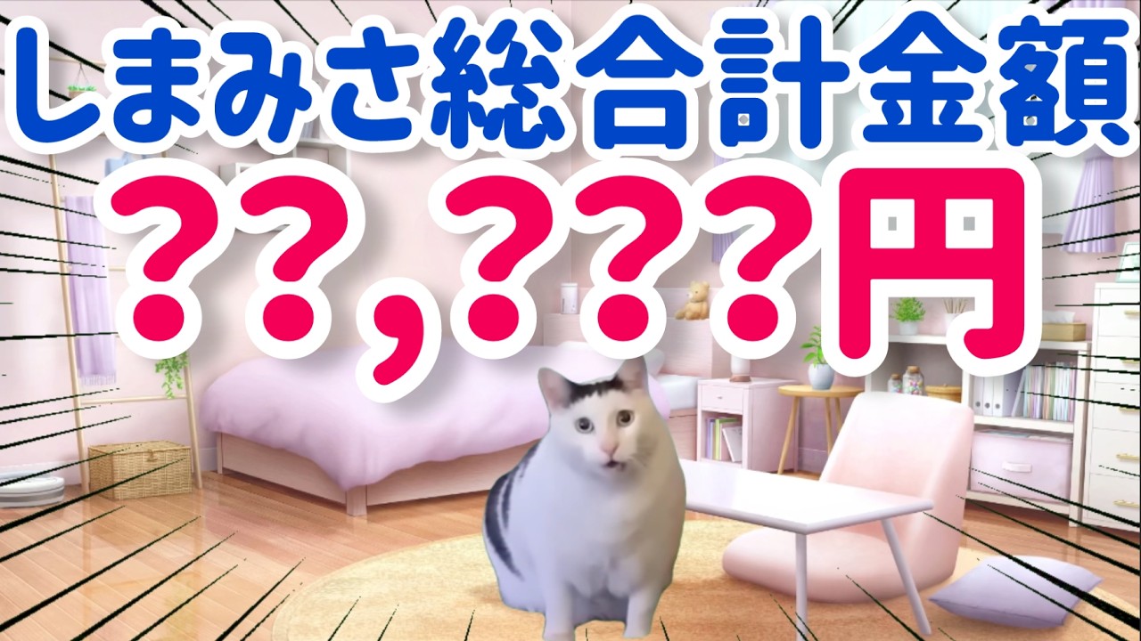 【しまむら】しまみさ受注品＆購入品、総額いくら！？予算は3万円！果たして収まるか！？開店アタック分やオンライン争奪戦も全部入れて計算してみた！！【m♡petit】【しまむら購入品】【猫ミーム】