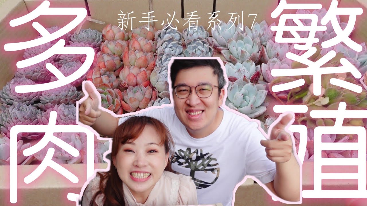 【新手必看】EP.7 多肉植物的繁殖｜變成多肉富翁!? 葉孵&胴切｜韓肉入盆｜花田綠地｜超好用園藝資材開箱｜A&S's Succulent Leaf Propagation