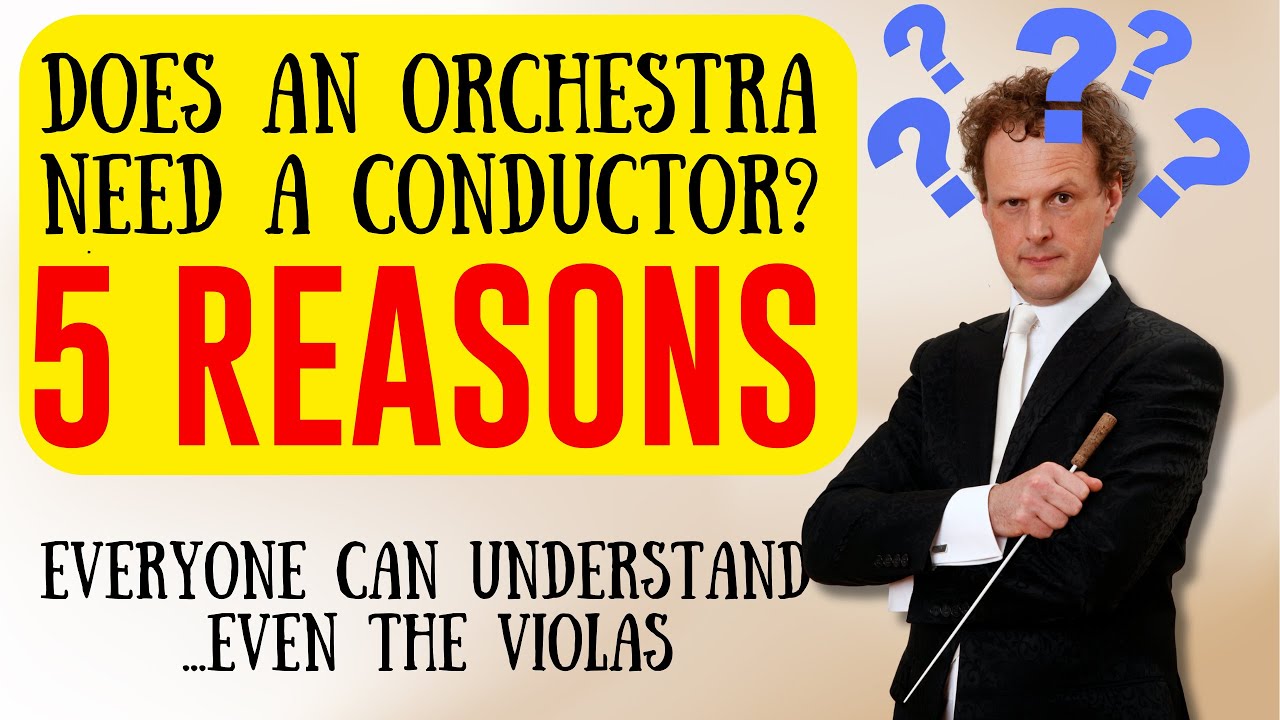 Does an orchestra need a conductor 5 REASONS everyone can understand...even the violas 🤣