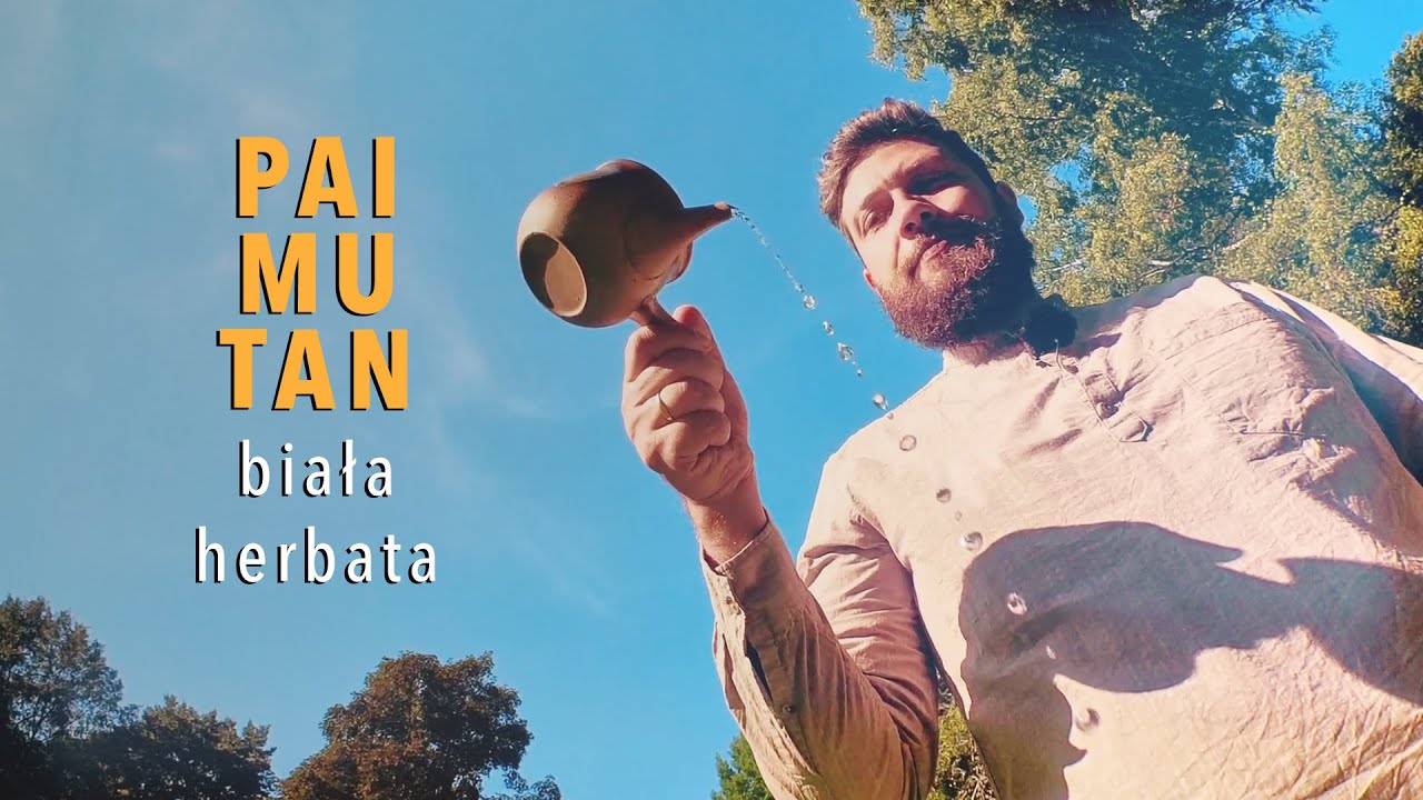 Pai Mu Tan &ndash; co to jest biała herbata i jak ją parzyć?