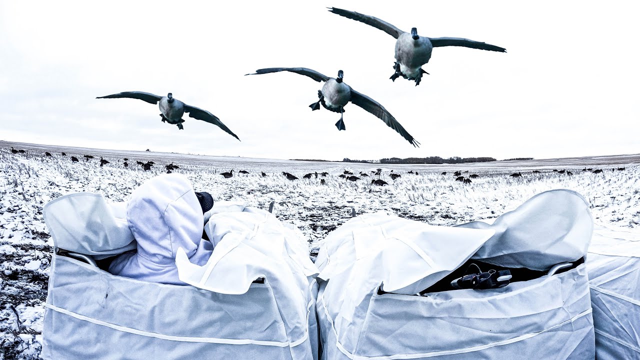 WHITE LAYOUT BLIND GOOSE HUNT! (GoPro POV)