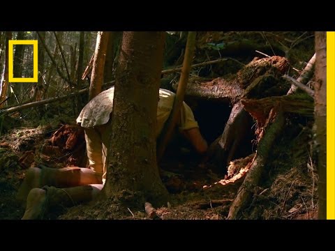 Digging up Paperwork | The Legend of Mick Dodge