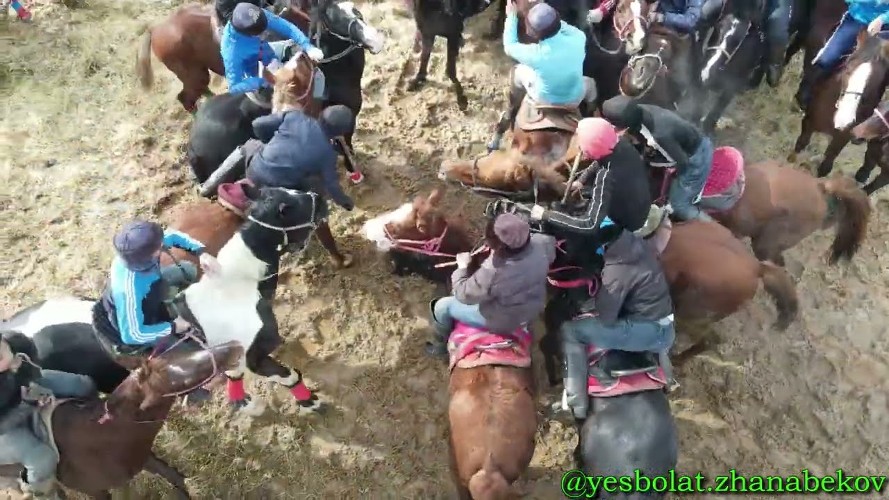 Төлеби ауданы Қаратөбе ауылы 1986 жылғы жігіттер 20 жылдық кездесуге арнап берген көкпар 04.02.2023ж