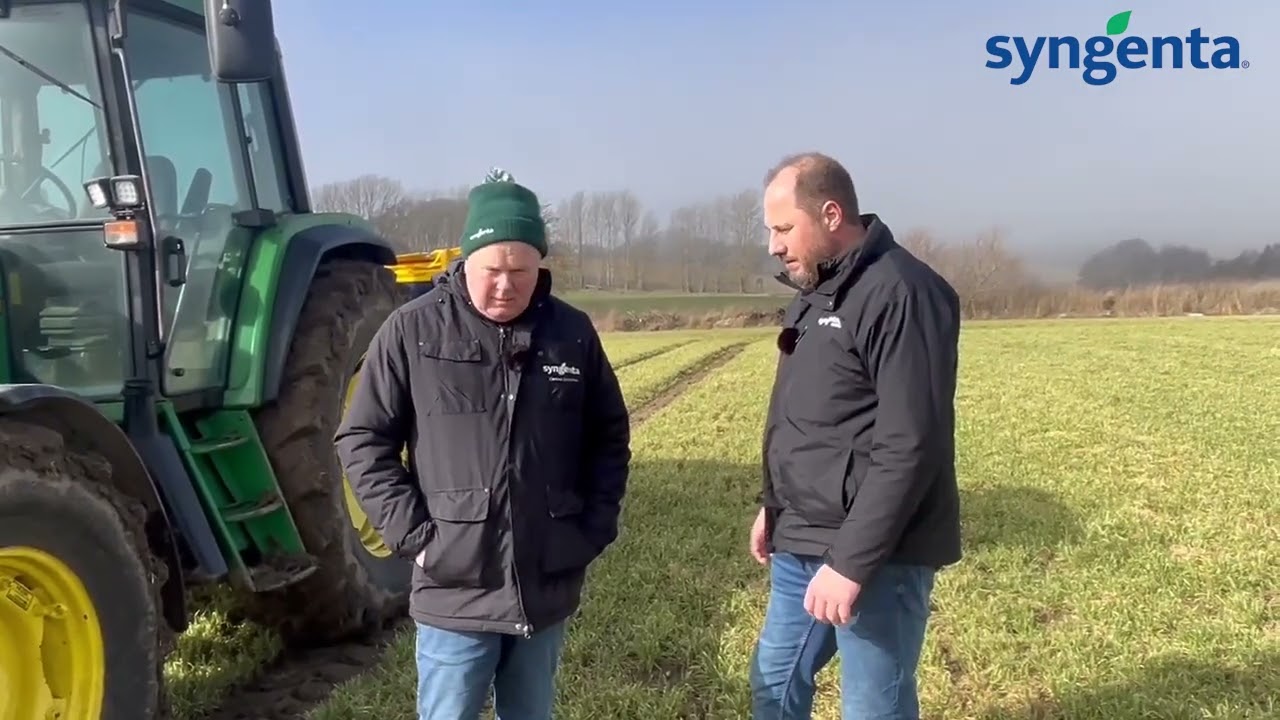 Carstens strategi for gødskning af hybrid‑vinterbyg: Fosfor, timing og første tildeling